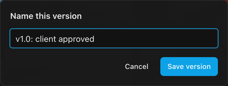 The Name this version dialog